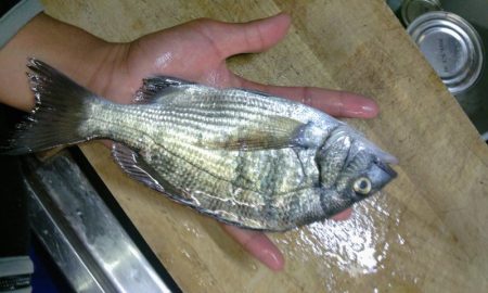 風がふいているなかの釣り